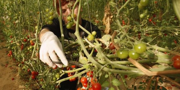 Israel va de nouveau importer fruits et legumes de gaza[reuters.com]