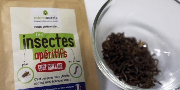 Micronutris, leader europeen des insectes comestibles, leve des fonds[reuters.com]