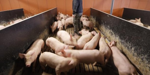 L'ue enquete sur les tables rondes de l'ete 2015 face a la crise porcine[reuters.com]