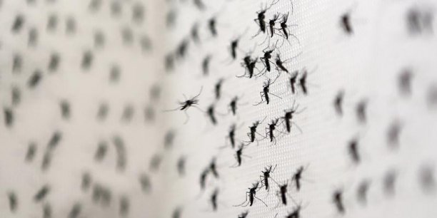 La france restreint les dons du sang en raison de l'epidemie de virus zika [reuters.com]
