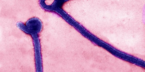 La derniere malade d'ebola en sierra leone est sortie de l'hopital[reuters.com]