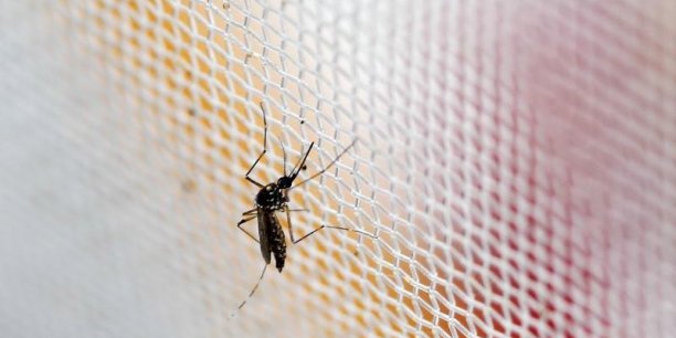 La maison blanche demande au congres 1,8 milliard de dollars face a l'epidemie de zika[reuters.com]