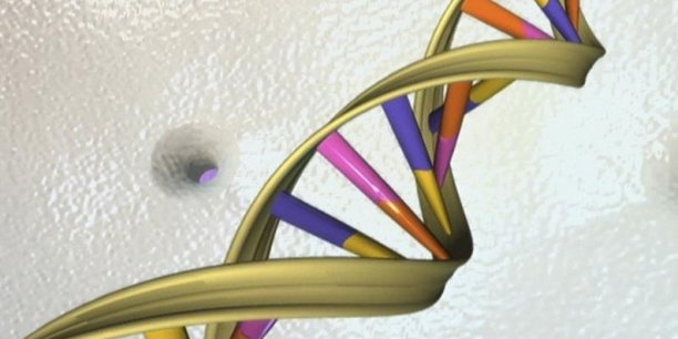 Le partenariat entre l'Institut Pasteur de Lille et l'Inria est nécessaire pour rester dans la course mondiale au séquençage de l'ADN.