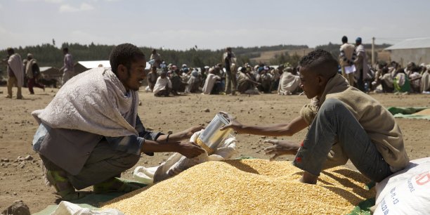 « 11 à 19 millions de personnes de plus sont menacés de famine sur la période 2022-2023 », estime la FAO.