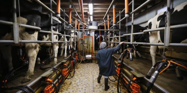 Le prix du beurre et la cotation du lait remontent sur les marches[reuters.com]