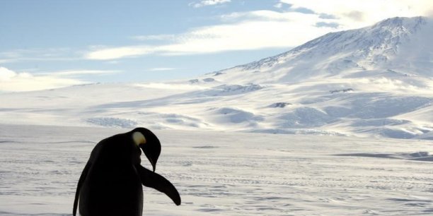 Le plus grand sanctuaire marin cree en antartique[reuters.com]