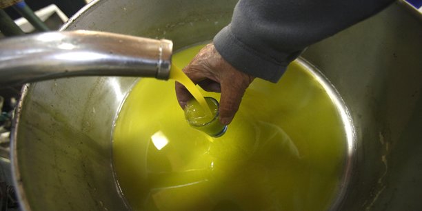 En 2017, 46% du volume de l'huile d'olive tunisienne exportée étaient bio.
