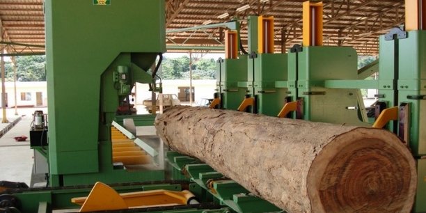 La Banque mondiale préconise au gouvernement congolais de mettre davantage l'accent sur le secteur agricole et la filière du bois.