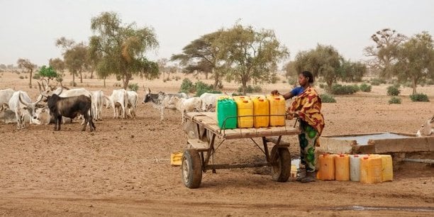Dans sa seconde phase, le Programme d'urgence de développement communautaire (PDUC) au Sénégal prévoit notamment le lancement de 1 000 périmètres agricoles qui devraient employer chacun entre 10 et 15 personnes.