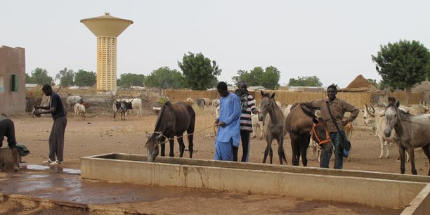 A Méréto (centre-est du Sénégal), l'agence japonaise de coopération internationale (JICA) a financé la construction d'un château d'eau pour faciliter l'accès à l'eau aux populations du village.