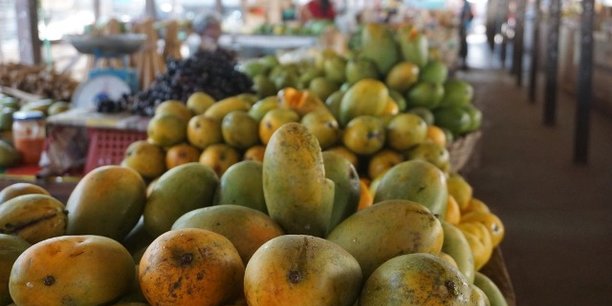 La région du Grand Bassam est l’une des principales zones de culture de la mangue et de l’ananas en Côte d’Ivoire.