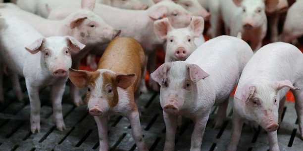 La Commission européenne voulait étendre cette réglementation aux élevages bovins, porcins et volailles comptant plus de 150 « unités gros bétail ».