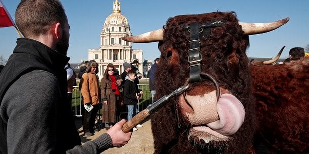 En 2016, les prix de vente des bovins (broutards, taurillons, veaux de boucherie et vaches de réforme) ont été tirés à la baisse par l'afflux de vaches laitières de réforme qui a pesé sur les cours de toutes les catégories d'animaux souligne le ministère de l'Agriculture.