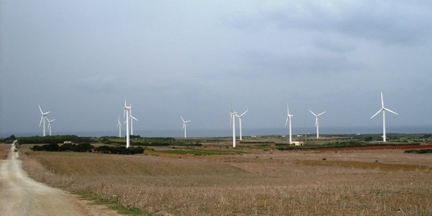 Le parc éolien de Sidi Daoud, à une cinquantaine de kilomètres de la capitale Tunis, a été mis en service en 2000.
