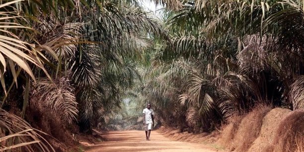 Fin de la mission de maintien de la paix de l'onu au liberia[reuters.com]