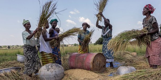 Dans les pays en développement et émergents, la question de favoriser la transition des emplois informels aux emplois formels, en particulier parmi les femmes rurales du secteur agricole, reste non résolue.