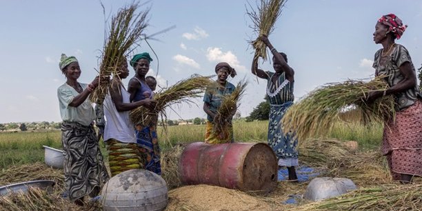 Au Burkina Faso, les activités du monde rural près de 80% de la population et participe à près de 30,3% du PIB.
