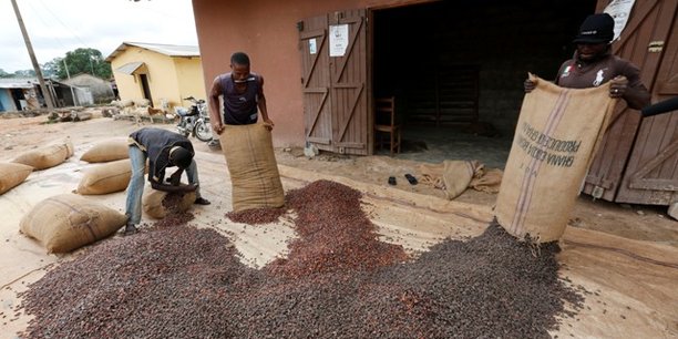 Fin mars dernier, le Conseil café-cacao ivoirien décidait de fixer à 700 Fcfa/kg le prix garanti aux producteurs pour la campagne intermédiaire de commercialisation du cacao.