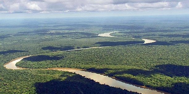 Le bassin du Congo est une zone classée deuxième poumon écologique de la planète, après l'Amazonie.