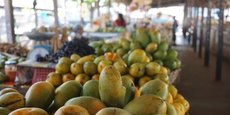 Le projet financé par l’agence de développement américaine USAID, veut générer 10,5 milliards de FCFA d’investissements dans le secteur de la mangue.