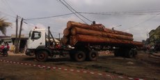 Au Cameroun, l'exploitation de certains produits forestiers dits «spéciaux», tels l'ébène et les rotins, est soumise à un avis préalable d'une commission inter-ministérielle.