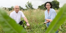 Jean-Jacques Germain et Sandrine Banessy ont fondé ensemble en 2013 Terre de Pastel, à Toulouse.