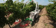 Naïo Technologies souhaite proposer un robot agricole pour la culture de la pomme de terre et de la betterave.