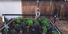 Farmbot, le jardinier intelligent en action.