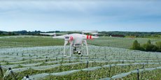 L'arrivée des drones en agriculture est une des dernières innovations les plus marquantes.