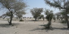 Le passage de 1,5°C à 2°C pourrait provoquer une forte hausse de la sécheresse qui sévit notamment dans la région du Sahel.