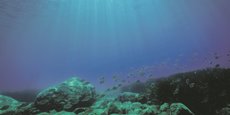 Le Royaume-Uni, qui a signé en septembre un traité historique de protection de la haute mer, se joint ainsi à d'autres pays comme la France qui réclament une « pause de précaution » dans l'extraction de matériaux depuis les fonds marins riches d'une biodiversité encore largement méconnue.