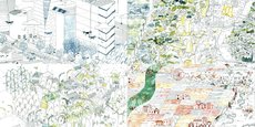 L'architecte-urbaniste Sophie Vialettes a illustré les quatre scénarios imaginés pour la métropole bordelaise par le groupe de travail du Forum urbain.