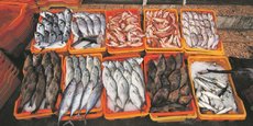 100.000 tonnes de produits de la mer sont traitées chaque année à Lorient-Keroman. Ce qui représente plus de 500 emplois.