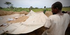 Avec une production actuelle estimée à quelque 700 000 tonnes de riz blanchi par an, la Côte d'Ivoire ne peut satisfaire qu'entre 40% et 50% de sa demande locale.