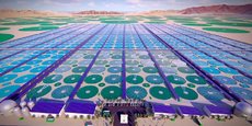 Le projet de ferme industrielle de production de micro-algues en Arabie Saoudite, un débouché potentiel pour Nenuphar