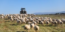 Le prix des biens ruraux a augmenté de 11% en Occitanie en 2020.