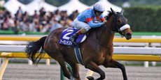 Christophe Lemaire monte Almond Eye (meilleur cheval japonais) à l’hippodrome de Tokyo, après sa victoire dans la Japan cup