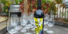 La coopérative audoise a pris le parti de créer une marque, NU.VO.TE, en rupture avec les codes traditionnels du vin pour marquer les esprits.