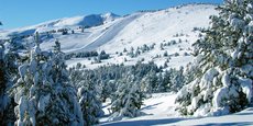 Dans la station de ski Font-Romeu Pyrénées 2000 (Pyrénées-Orientales), 29 pistes sur les 42 sont ouvertes en ce début janvier, soit 70% du domaine, et 20 remontées mécaniques sur 23 acheminent les skieurs en haut des pistes.