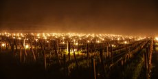 Des milliers de braseros allumés dans le vignoble bordelais pour lutter contre le gel dans la nuit du 7 au 8 avril 2021.