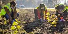 Bordeaux Métropole prévoit de planter un million d'arbres en dix ans en y consacrant un budget de trois millions d'euros par an.