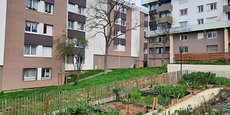 Le maire (PS) de Montpellier rappelle que pour la première fois, la production de logement social sera la plus basse depuis la 2e guerre mondiale.