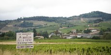 En top des activités du département vendues sur la plateforme Place de marchés de Rhône Tourisme, on retrouve le pique-nique dans les vignes, les fêtes du Beaujolais et le geocaching.