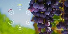 A Montpellier, Fruition Sciences est spécialisée dans le diagnostic et le conseil viticole : elle collecte et analyse des données, notamment sur les problématiques de stress hydrique et d'irrigation de la vigne.