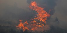 Pour Christian Pinaudeau, qui vient de soutenir une thèse sur le sujet, canicule, vent et sécheresse ne sont que des phénomènes aggravants des incendies de forêt. L'Homme étant la cause de l'écrasante majorité de ces sinistres.