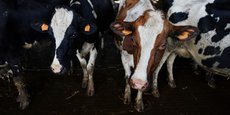 De quoi dépendent ces inégalités croissantes ? L'étude les explique par l'organisation de l'industrie alimentaire qui, afin de réaliser des économies d'échelle, standardise le lait collecté et valorise, bien plus que la matière première agricole, l'image de marque.
