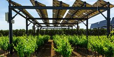 Sun'Agri, spécialiste de l'agrivoltaïsme dynamique, installe des persiennes photovoltaïques au-dessus des plantations, à une hauteur suffisante pour permettre le passage des engins agricoles, et pilotées par des algorithmes.