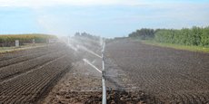 Les techniques développées par les startups permettent notamment de traiter les eaux usées pour les utiliser en irrigation.