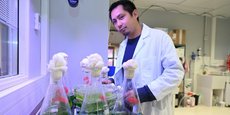 La biotech toulousaine espère ouvrir sa propre usine de production de micro-algues d'ici des les deux ans.