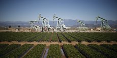 Exploitation pétrolière près d'un champ de fraises dans la ville d'Oxnard, comté de Ventura, en Californie.